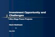 Investment Opportunity and Challenges