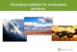 Emerging markets for ecosystem services