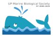 UP Marine Biological Society SY 2009-2010