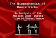 The Biomechanics of Dance Kicks