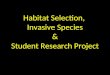 Habitat Selection,  Invasive Species & Student Research Project