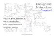 Energy and  Metabolism Chapter 6