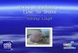 Harry Hedgehog’s  Time To Share