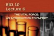 BIO 10  Lecture 6