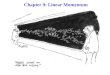 Chapter 9: Linear Momentum