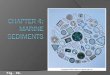 CHAPTER 4:  Marine Sediments