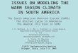 ISSUES ON MODELING THE WARM SEASON CLIMATE    IN SOUTH AMERICA