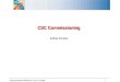 CSC Commissioning