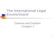 The International Legal Environment