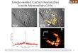 Single-walled Carbon Nanotubes Inside Mammalian Cells