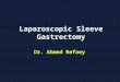 L aparoscopic  S leeve G astrectomy