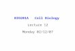 BIO201A   Cell Biology  Lecture 12 Monday 02/12/07