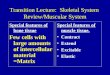 Transition Lecture:  Skeletal System  Review/Muscular System