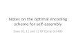 Notes on the optimal encoding scheme for self-assembly