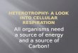 Heterotrophy- a look into Cellular Respiration