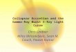 Collapsar  Accretion and the Gamma-Ray Burst X-Ray Light Curve