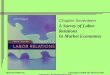 A Survey of Labor Relations In Market Economies
