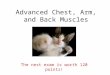 Advanced Chest, Arm, and Back Muscles