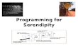 Programming for Serendipity