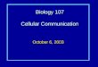 Biology 107 Cellular Communication