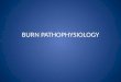 BURN PATHOPHYSIOLOGY