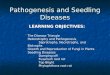 Pathogenesis and Seedling Diseases