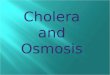 Cholera and Osmosis
