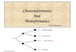 Chemoinformatics And  Bioinformatics