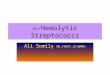 -Hemolytic Streptococci