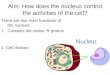 Aim: How does the nucleus control the activities of the cell?