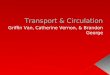 Transport & Circulation