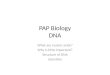 PAP Biology DNA