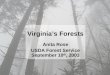 Anita Rose USDA Forest Service September 10 th , 2003