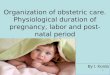 Organization of obstetric care. Physiological duration of pregnancy, labor and post-natal period
