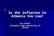 Is the Inflation in Albania too Low?