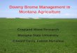 Downy Brome Management in Montana Agriculture