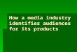 How a media industry identifies audiences for its products