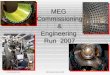 MEG  Commissioning & Engineering  Run  2007