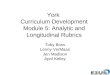 York  Curriculum Development Module 5: Analytic and Longitudinal Rubrics