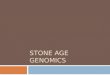 Stone Age Genomics