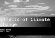 Effects of Climate Change on the Great Lakes