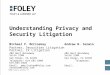 Understanding Privacy and Security Litigation