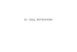 B – CELL ACTIVATION