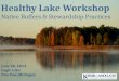 Healthy Lake Workshop Native Buffers &  Stewardship Practices