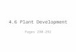 4.6 Plant  Development