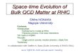 Space-time  Evolution of  Bulk QCD Matter at RHIC