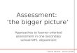 Assessment:  ‘the bigger picture’