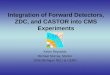 Integration of Forward Detectors, ZDC, and CASTOR into CMS Experiments