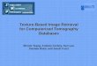 Texture-Based Image Retrieval for Computerized Tomography Databases
