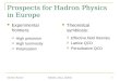 Prospects for Hadron Physics in Europe